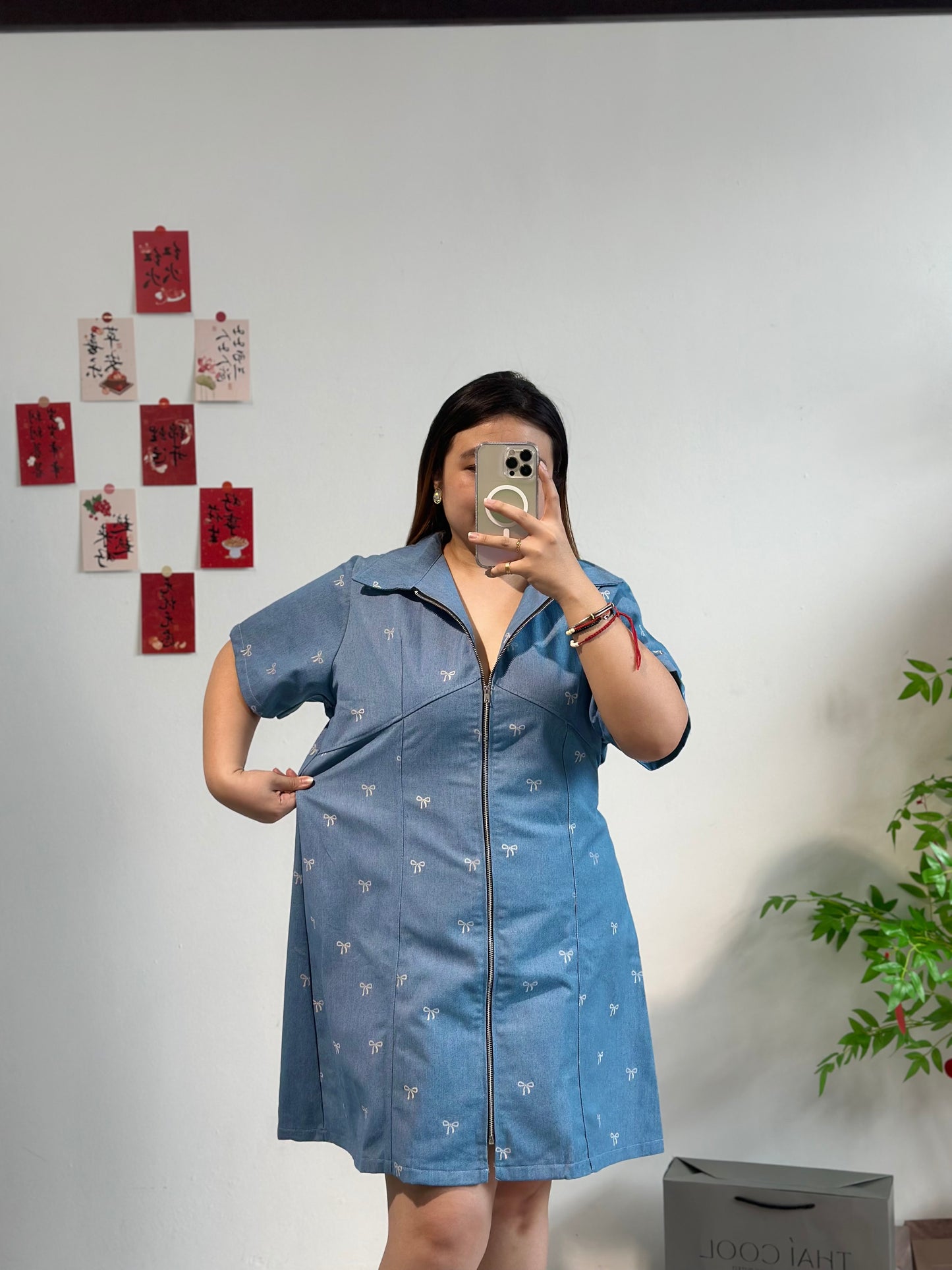 牛仔拉链连衣裙 #TC112